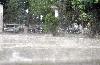 Next picture :: Rain During Heavy Downpour in Quetta