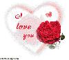 For Lovers