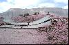 Quetta Quake 29 October