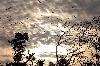  A beautiful view of changed climate