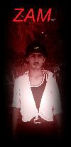ZAM