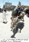 Man carries overloaded stuff on his donkey-cart to  earn his livelihood for his family