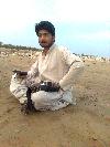 Previous picture :: MALIK SAJID BANGULZAI