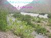 Next picture ::  Ex-presedent genral ayoub khan favourit picnic point bhare Forest Akhtry Hanai