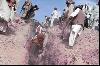 Quetta Quake 29 October