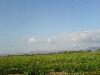 Previous picture :: Sibi