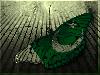 Previous picture :: Pakistan Zindabad