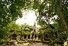 Next picture :: Nature