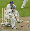 best seweb shot in cricket