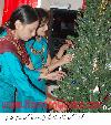 Next picture :: Christmas Preparation in Quetta