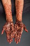 Next picture :: Mehndi (Henna) Design for girls