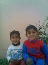 AMAN/SHEES