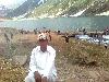 ALI <SARGODHA UNIVERSITY .03477507747