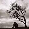 where there is love, there is pain