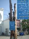 UET Tree Allah is Great. ( Wohe Khuda Hya )