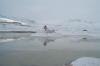 Previous picture :: Hanna Jheel with Snow