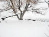 Next picture :: Snowfall 2008