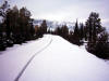 Next picture :: Road with Snow