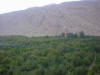 Ziarat Mountains 
