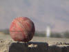 Next picture :: Cricket World Cup Ball 2011