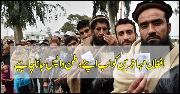 افغان مہاجرین کو اب اپنے وطن واپس جانا چاہیے