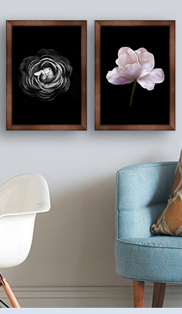 Abstract flowers black and white background