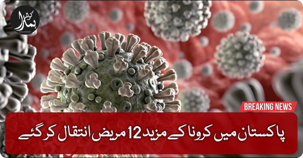 پاکستان میں کرونا کے مزید 12 مریض انتقال کر گئے